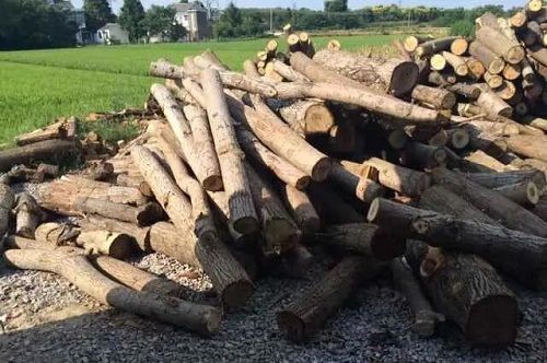 202103171443002 202103171443002